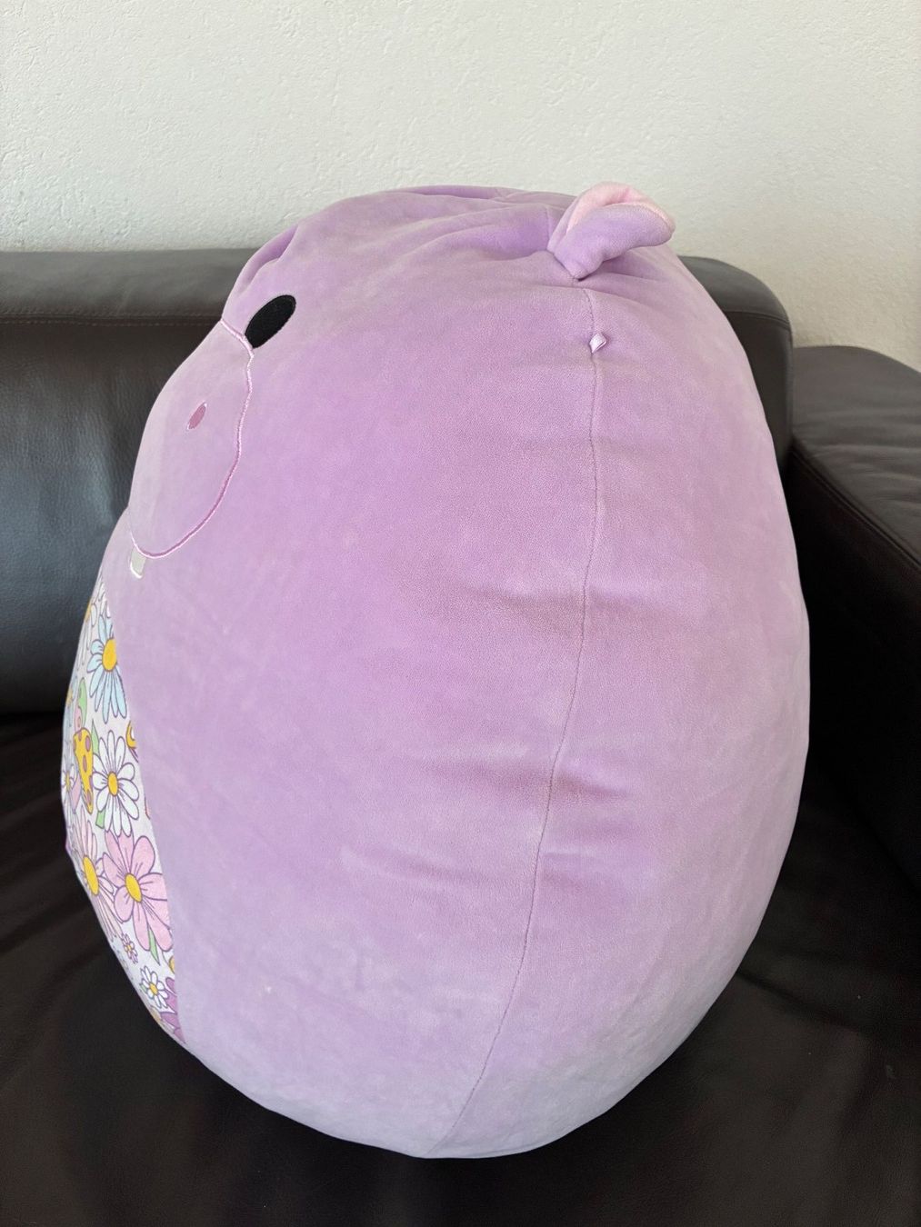 Squishmallows Giocattoli: Squishmallows Hanna Hippo – Usato da Triengen venduto da rogel 1