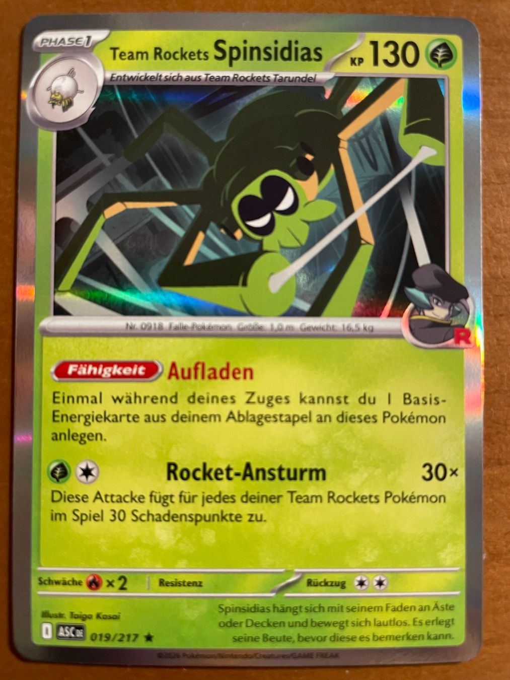 Pokémon Carte collezionabili: Pokemon Team Rockets Spinsidas Reverse (Versand gratis) – Nuovo (secondo la descrizione) da Chur venduto da Angerson