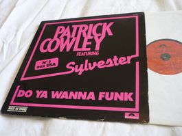Rare 12" Vinyl 80s Pop Italo - Patrick Cowley - sylvester
