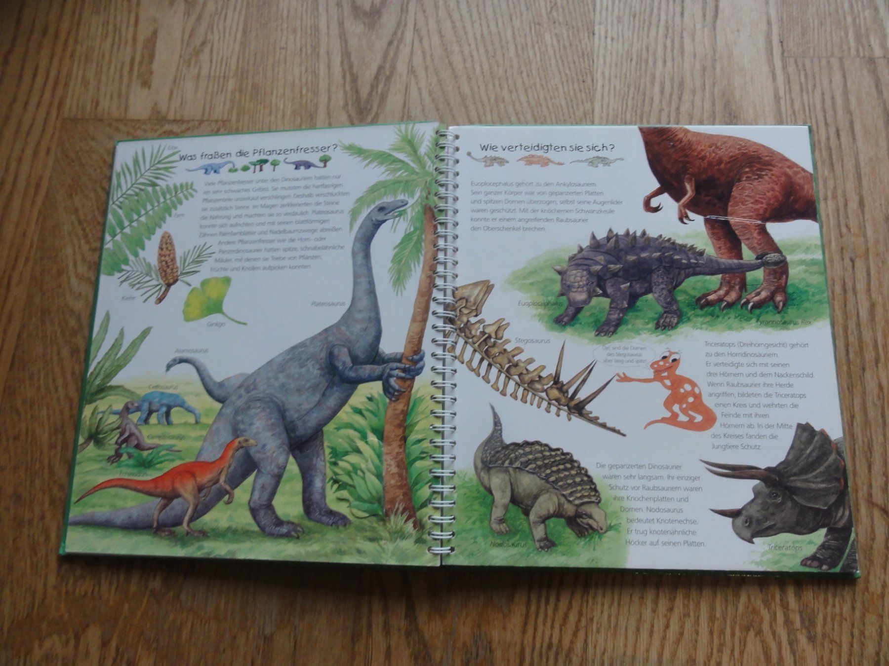 Libri: Dinosaurier: Wieso? Warum? Weshalb? – Usato da Riedholz venduto da Taweva 2