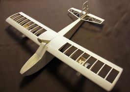 Real-Kit Valueplanes - The Seagulls, Spw 1570mm, KIT-Bausatz