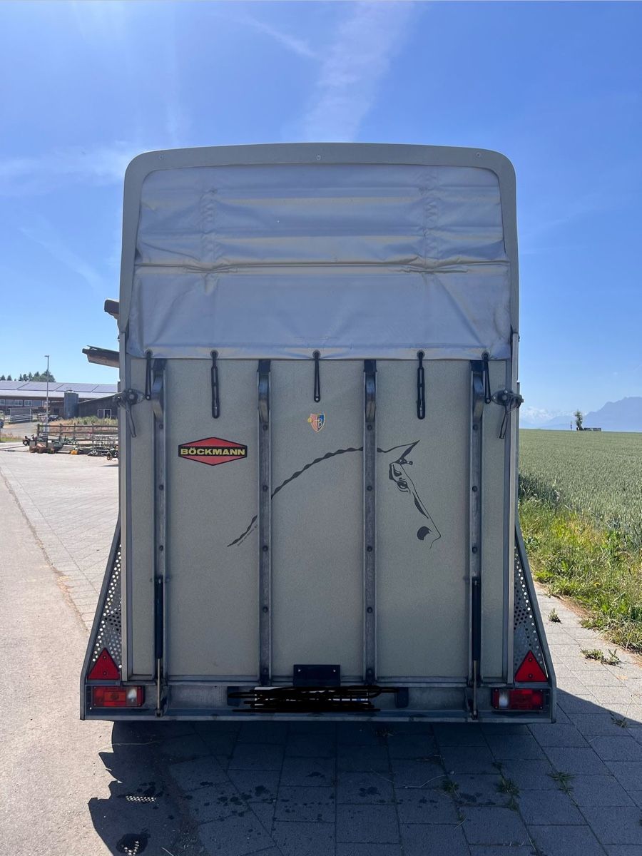 Böckmann Anhänger: Pferdetransporter Böckmann Classic – Gebraucht aus Buttisholz von Carmine.S 6