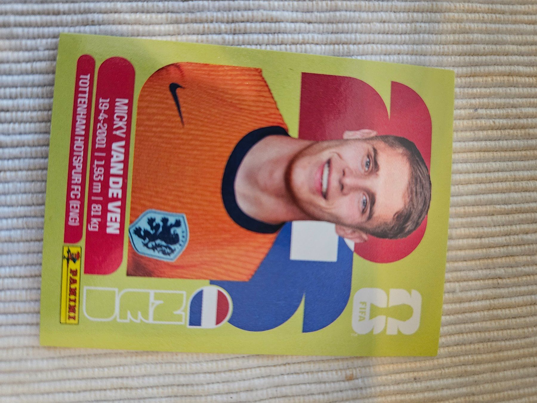Panini Carte collezionabili: Ned4 – Usato da Würenlingen venduto da Dinli