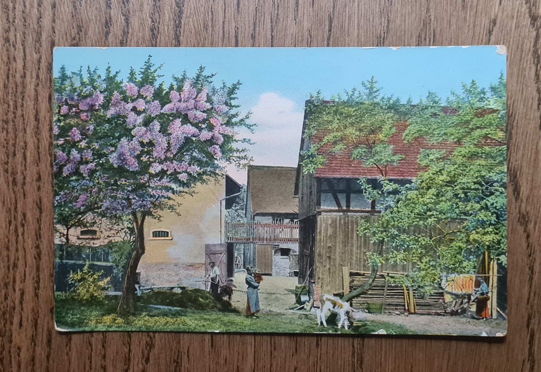 Cartoline postali: wahrscheinlich Oberrieden, Feldpost 1909 – Usato da Ebikon venduto da Donar50
