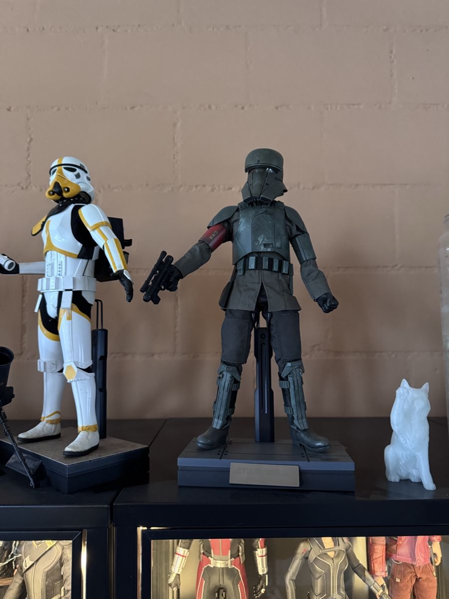 Hot Toys Statuette: Hot Toys Star Wars Trooper einzeln oder mehrere – Usato da Balterswil venduto da Maili91 2