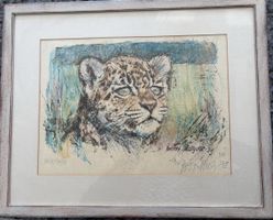 Lithographie von Fritz Hug - Baby Jaguar