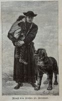 Antik Druck 1902 - Grand Saint Bernard,  Bernhardiner Hund