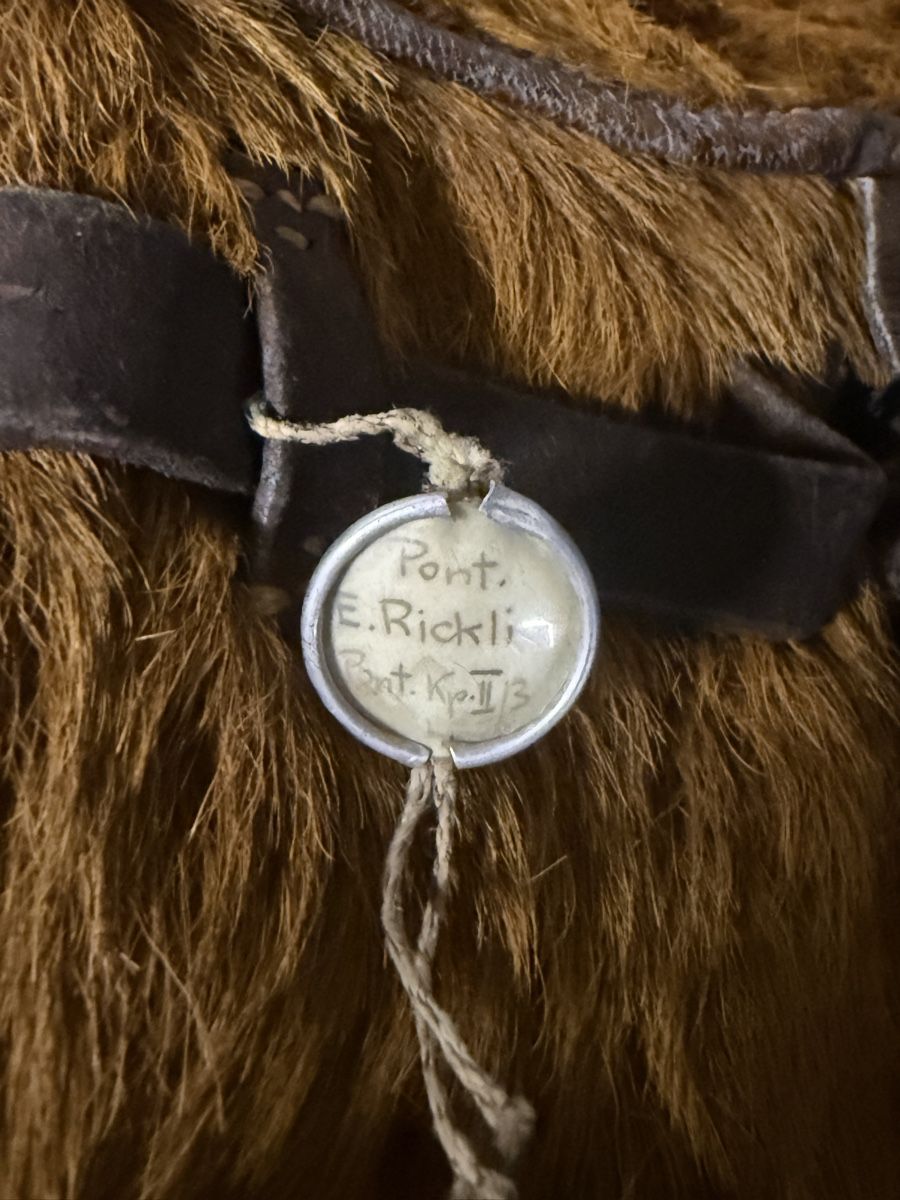 Schweizer Armee Zaini: Vintage Schweizer Armee-Tornister / Fellrucksack – Usato da Gockhausen venduto da Juanma.S.B
