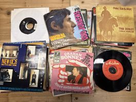 50+ Single Sammlung Querbeet 