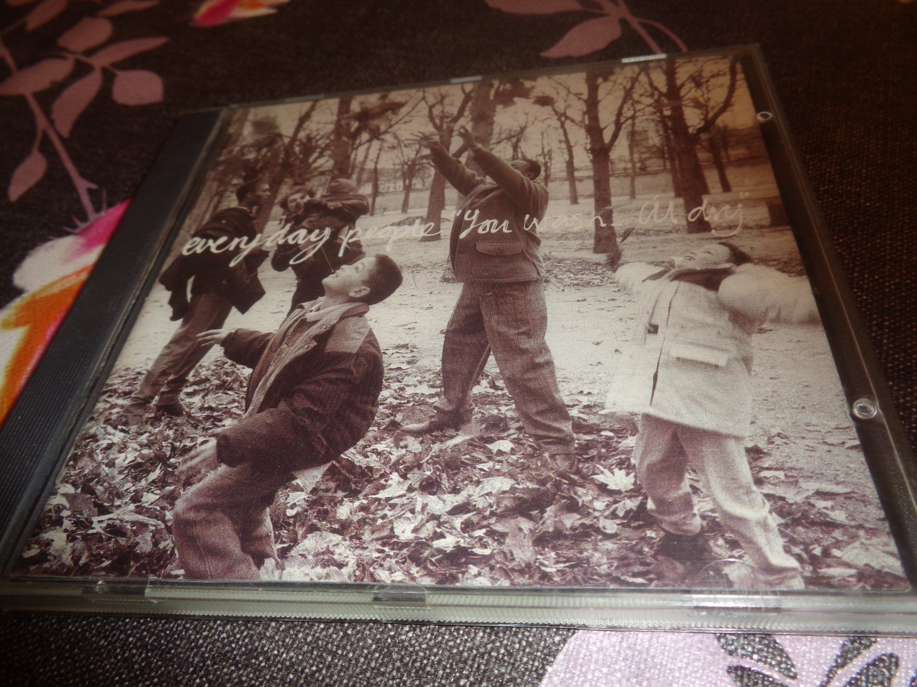 CD: Everyday People - You was Ill dry CD – Usato da Olten venduto da Disc-Ausverkauf