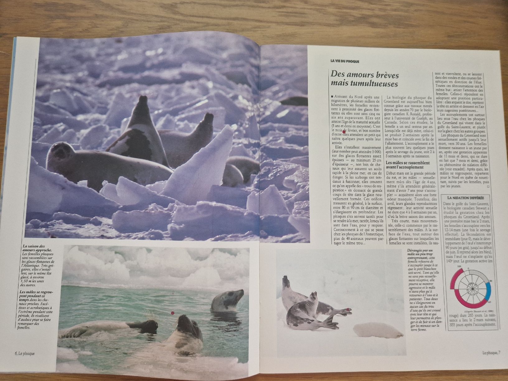 Zeitschriften & Magazine: Vie sauvage - le phoque – Neu (gemäss Beschreibung) aus Villars-sur-Glâne von Agnie80 1