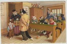 Ak Künzli, Katzen in der Schule