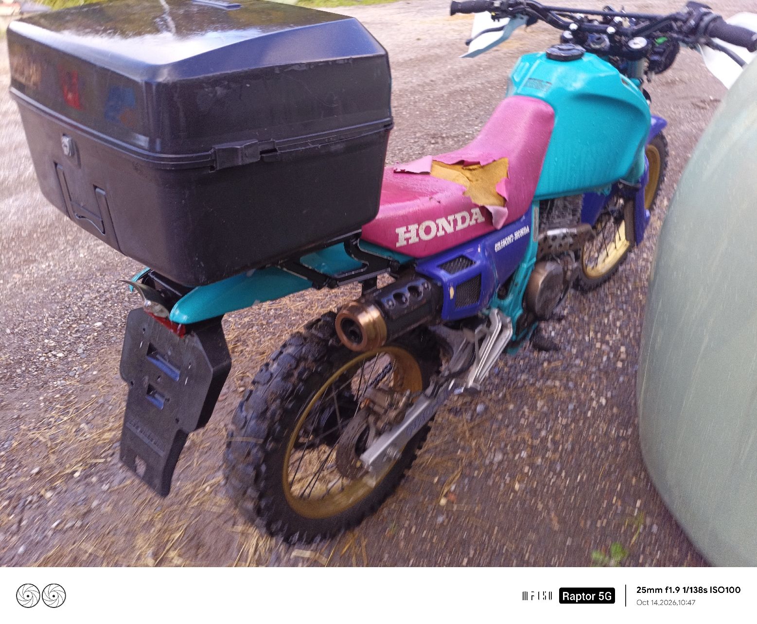Honda Enduro: Honda XL Dominator  – Gebraucht aus Holderbank SO von POULETS 2