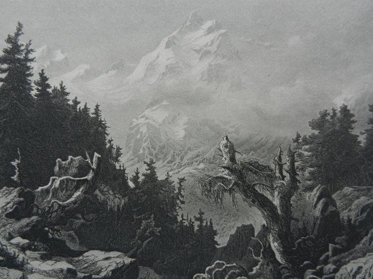 Gravures: Piz Bernina – D'occasion à Risch par Rischli15 1
