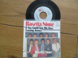 Rosetta Stone: If You Could See Me Now Vinyl 7" 45rpm