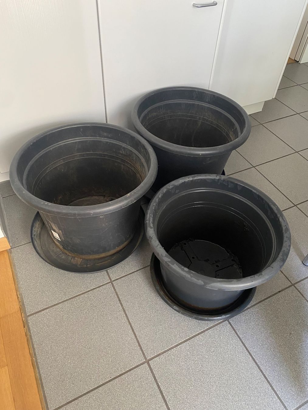 Blumentöpfe: 3 grosse Blumentöpfe – Gebraucht aus Zürich von angsch
