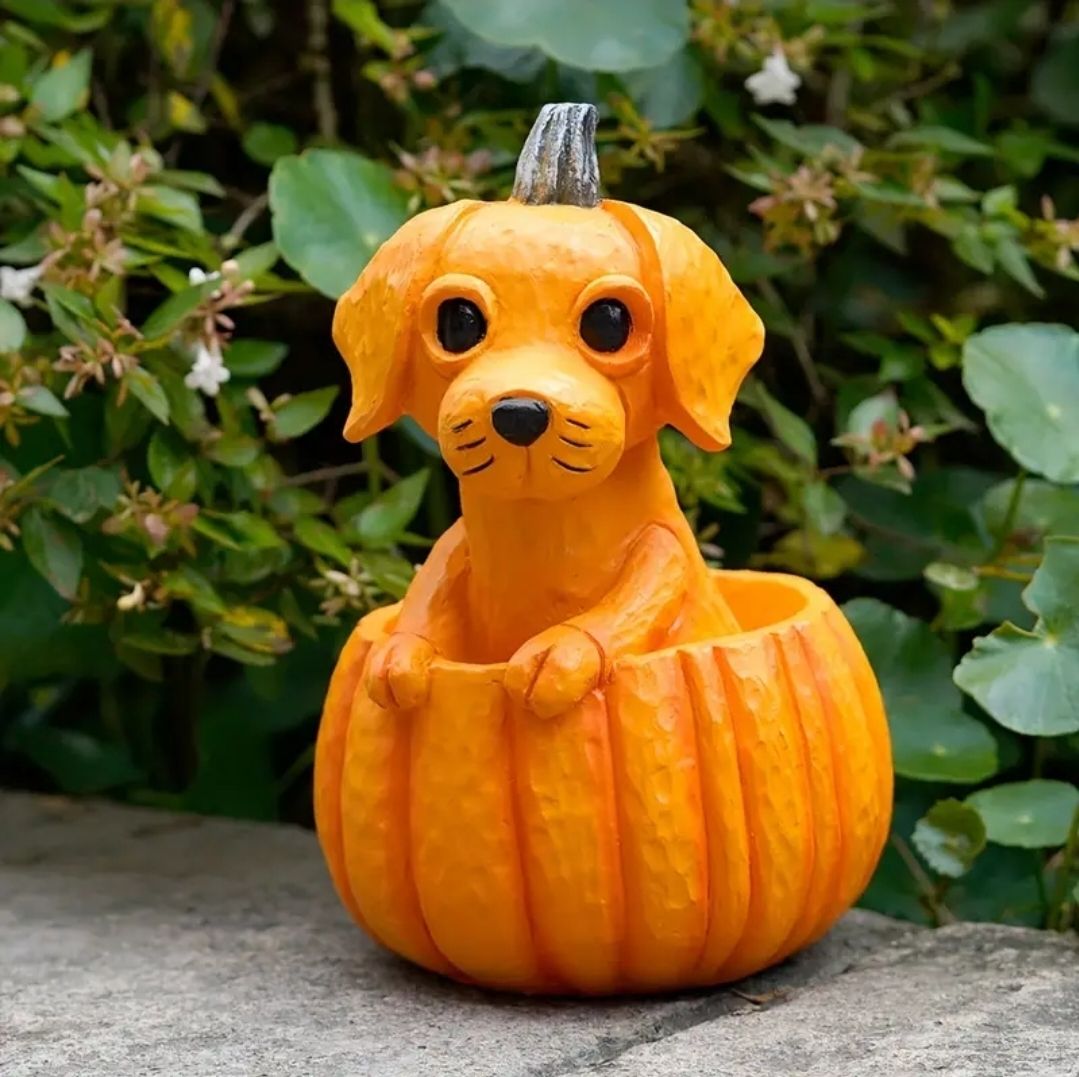 Tutte le decorazioni: Kürbis Deko Hund – Nuovo (secondo la descrizione) da St.Peterzell venduto da the2ndchance