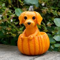 Kürbis Deko Hund