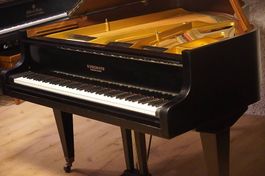 Flügel Schiedmayer 160cm
