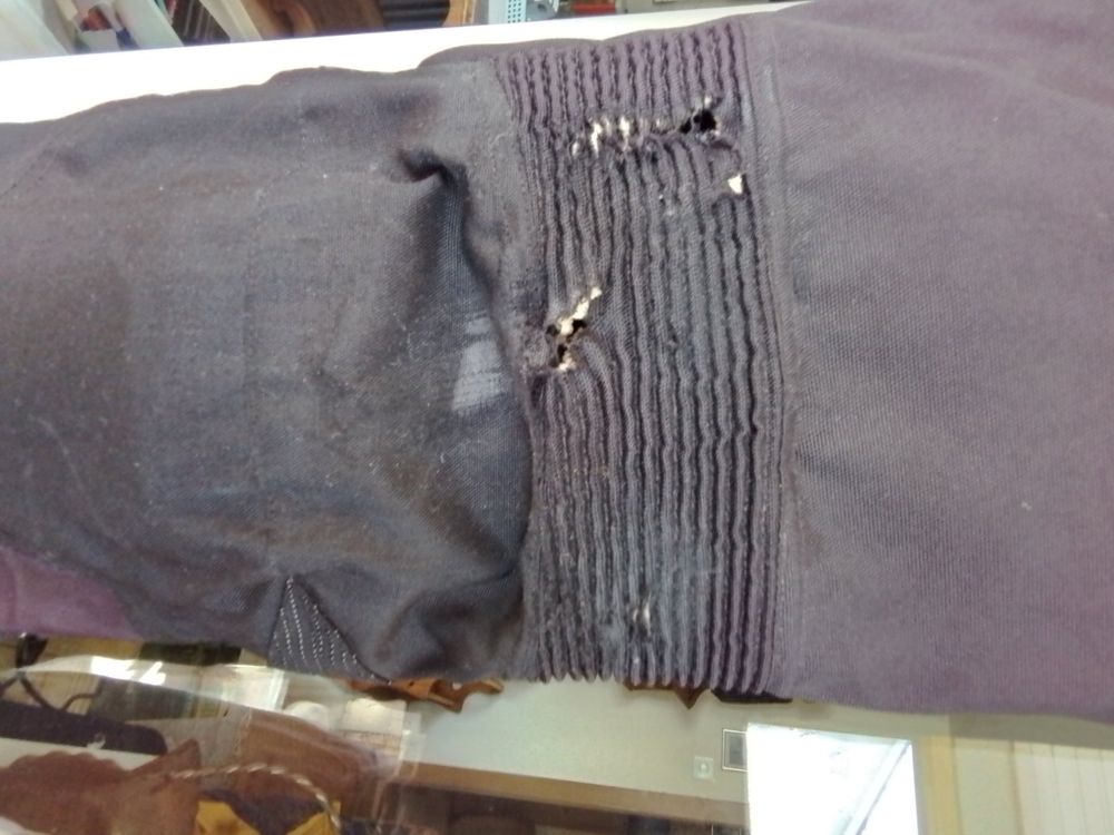 Pantalons: Motorradhose Grösse M mit kleinen Löchern – D'occasion à Oberurnen par DVDL 2