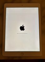 iPad (6. Generation, 2018), Modell A1893 (Wi-Fi)