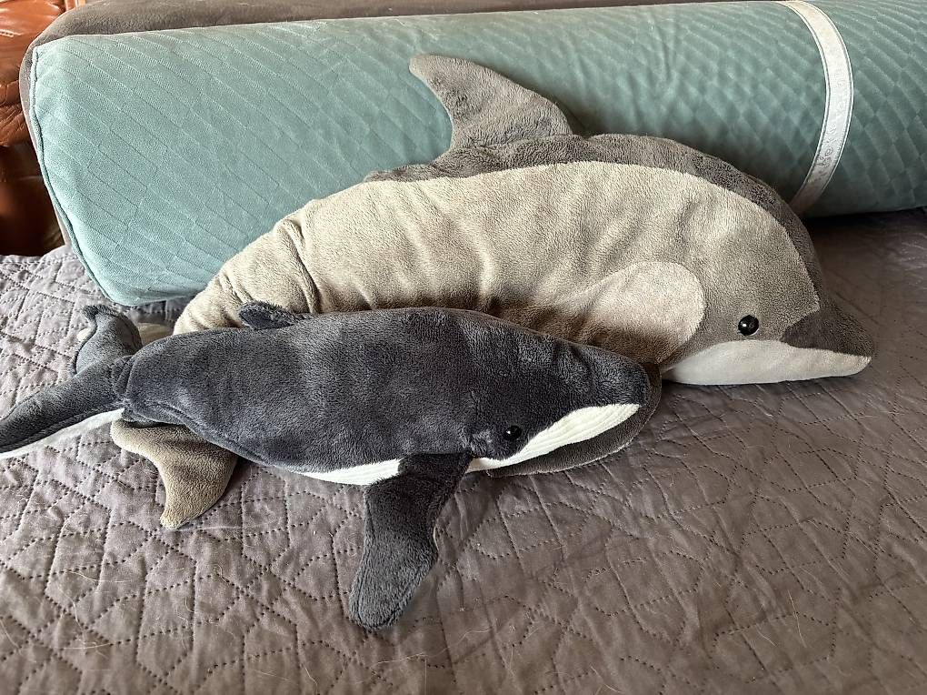WWF Giocattoli: Dauphin et baleine WWF – Usato da Perroy venduto da barballalla