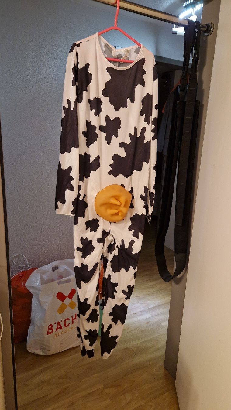 Costumes: Kuh Fasnachtskostüm – D'occasion à Muhen par Picasso97