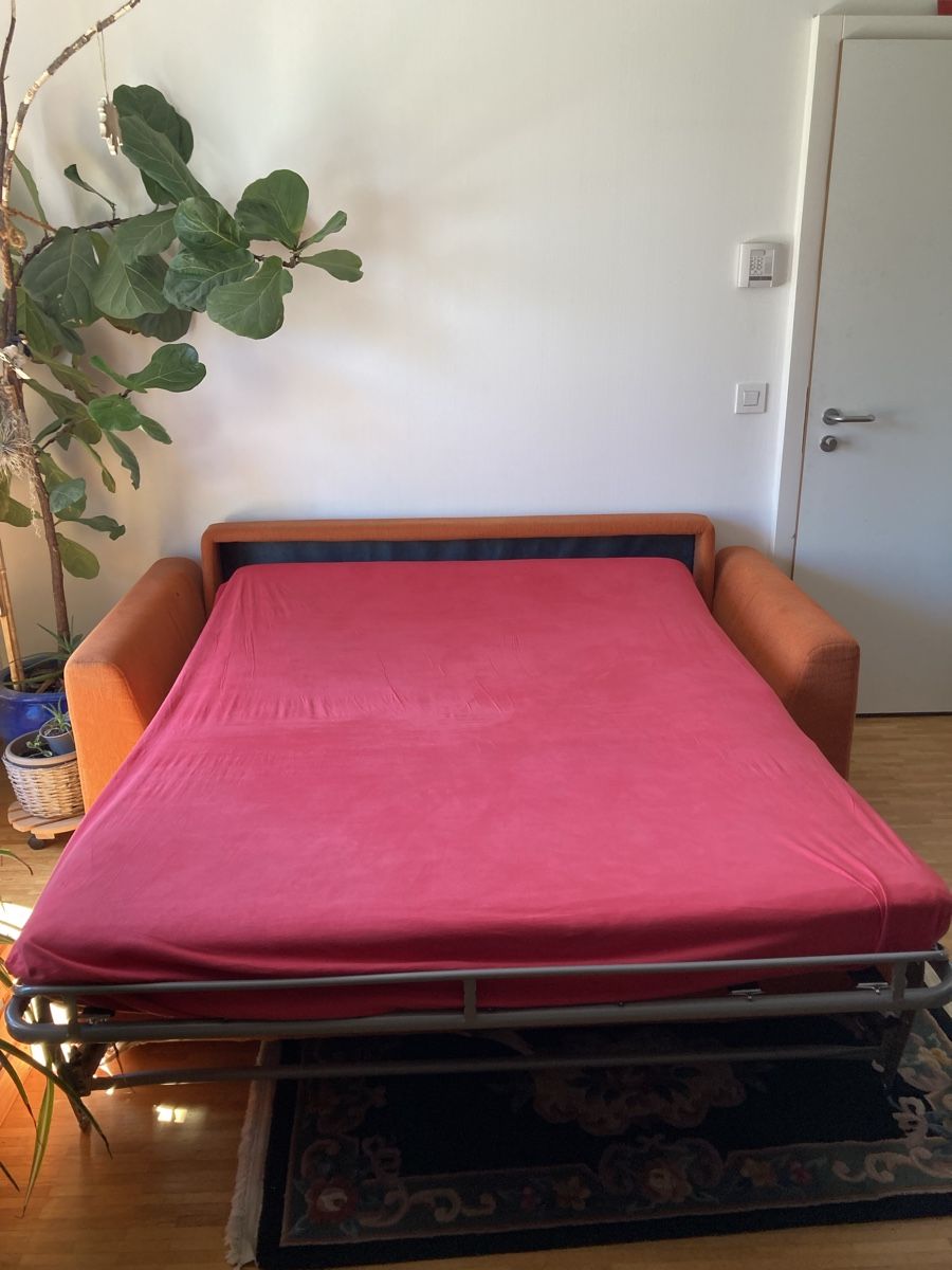 Divani: Canapé lit – Usato da Perly venduto da 100_x8dt 2