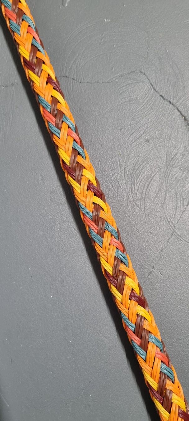 Altro in Accessori per animali: Fahrpeitsche – Usato da Lyss venduto da mel_td7r 1