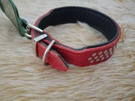 Hundehalsband Leder rot mit Nieten 24-28 cm verstellbar