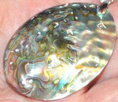 Anhänger L-4048 – Abalone Muschel – ca. 5,5 x 4 cm