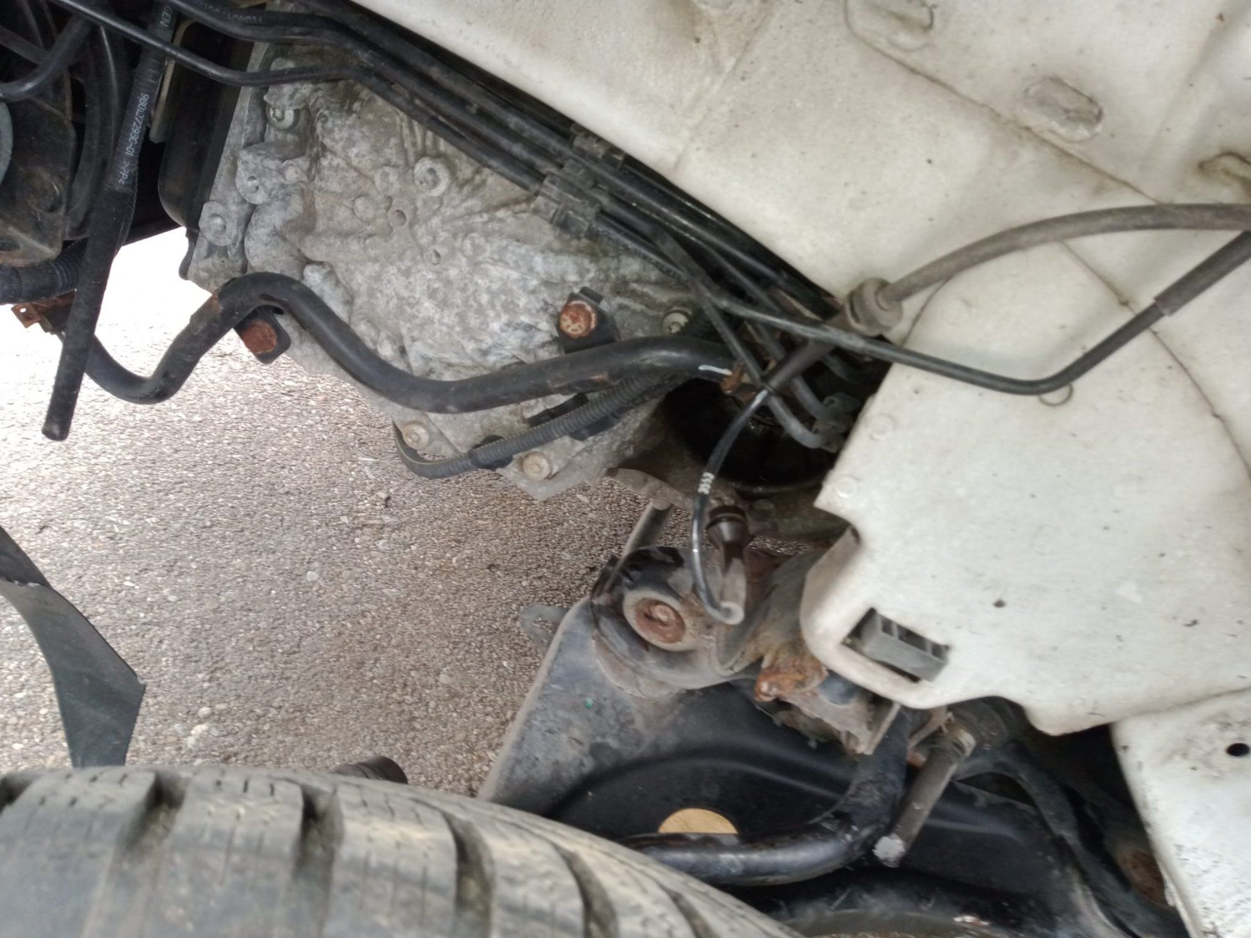 Peugeot Automobili: Peugeot 2008 1.6 VTI Allure – Difettoso da Aadorf venduto da Tricolo1985 7