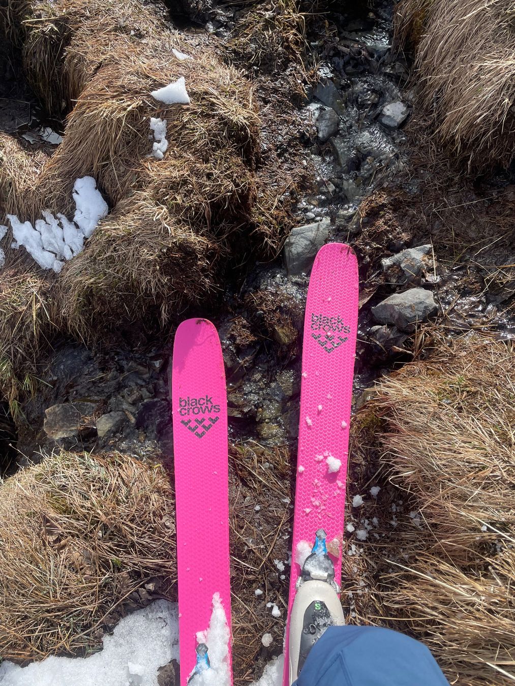 Black Crows Sci: Black Crows Corvus Freebird 183 mit Bindung – Usato da Chur venduto da kon_x5v6 3