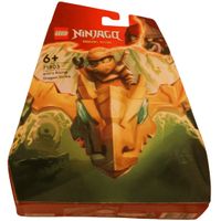 LEGO® NINJAGO 71803 Arin's Rising Dragon Strike
