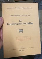 Das Bergsturzgebiet von Goldau