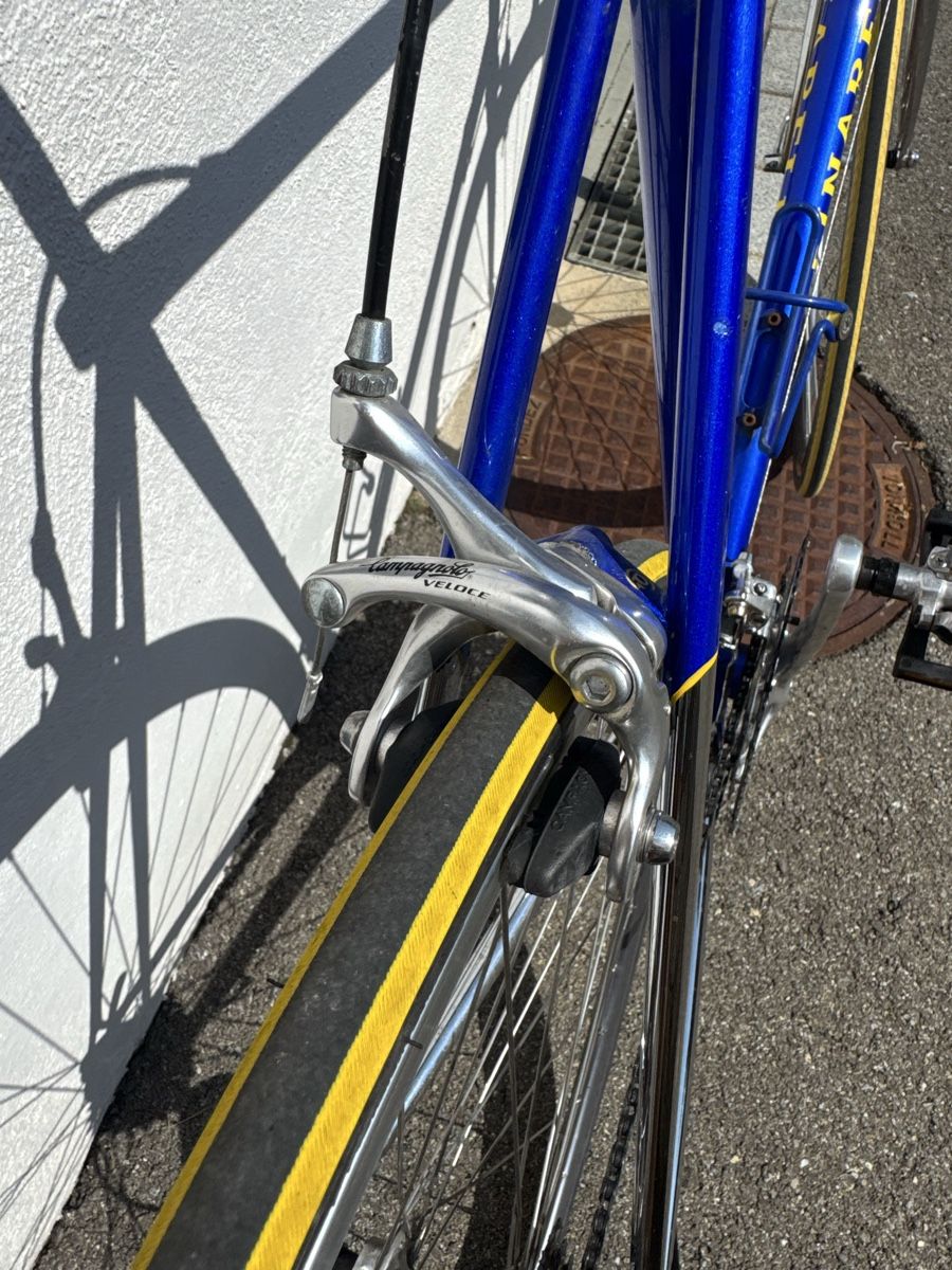 Biciclette: Pinarello Stelvio mit Campagnolo Komponenten – Usato da Berg SG venduto da cil_p8z9 5