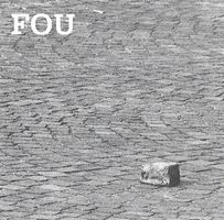 CD FOU - CHRISTOPHE MEYER - POP - JURA (SUISSE)