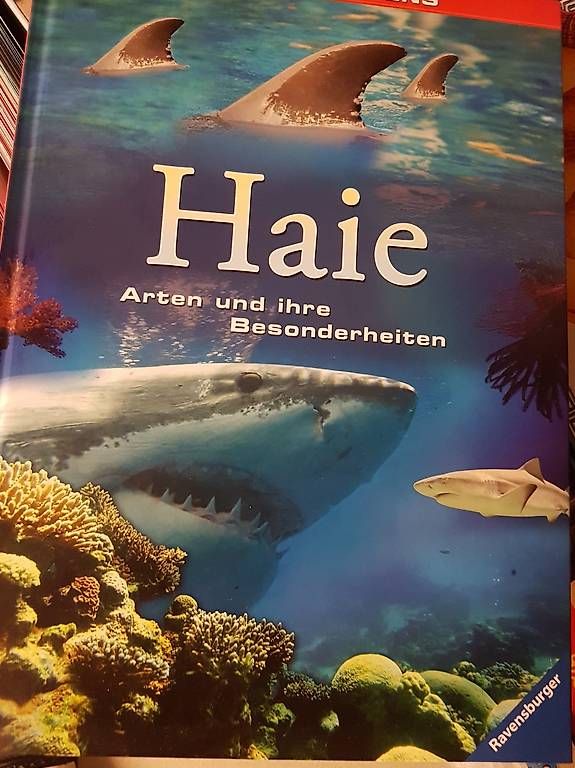 Bücher:  Bücher/Kinder – Gebraucht aus Nürensdorf von conceicao74 1