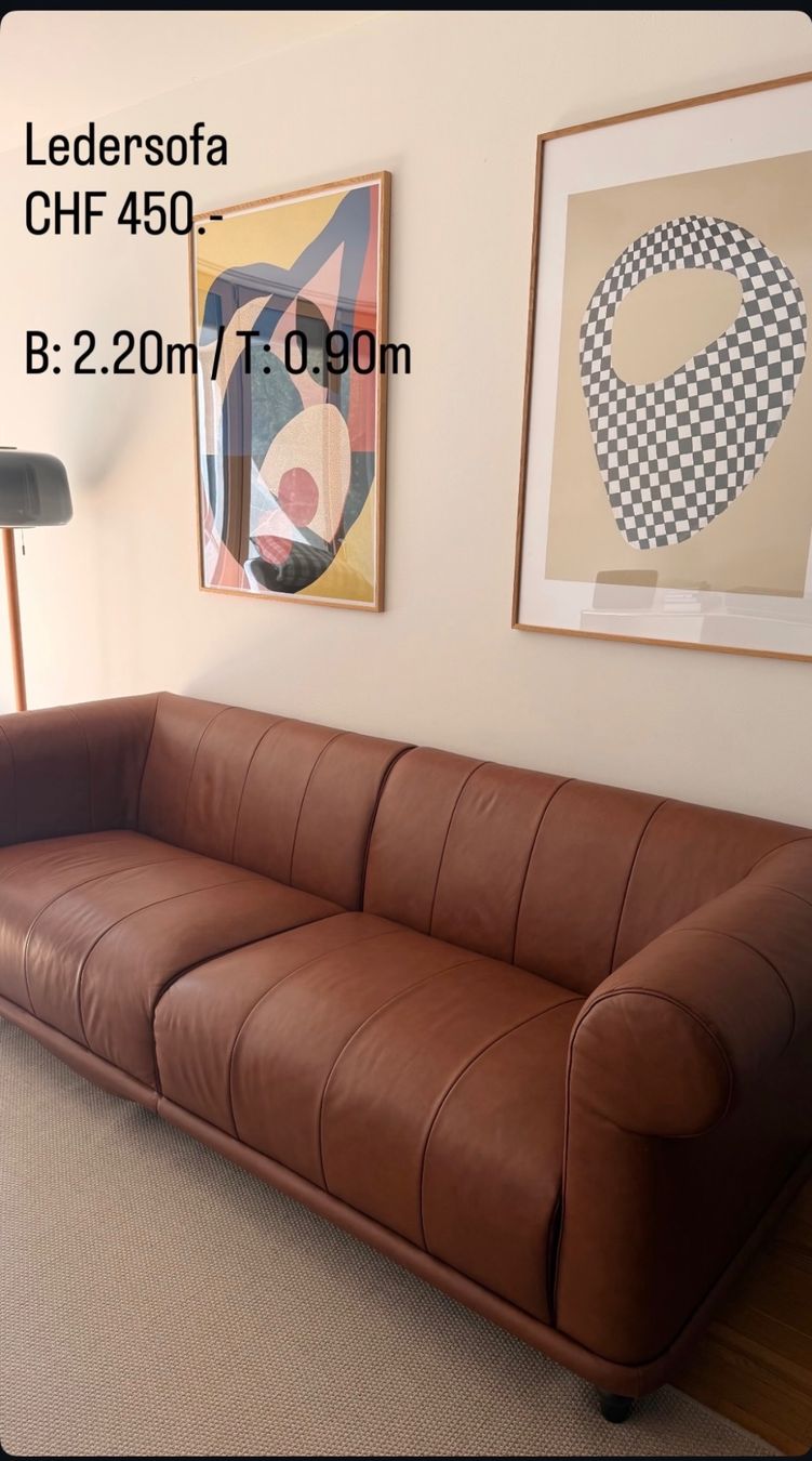 Ikea Divani: Leder Sofa – Usato da Zürich venduto da ENG_CEN