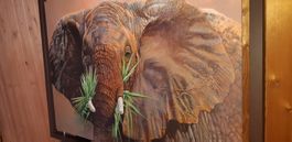 Bild mit Elefant