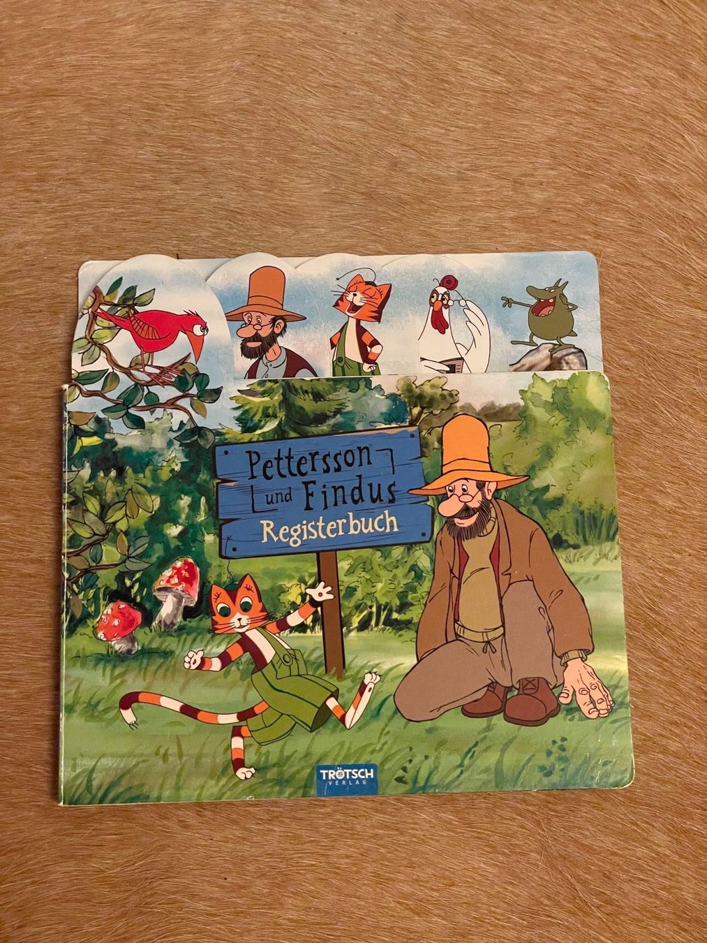 Bücher: "Pettersson und Findus", Kinderbuch, Registerbuch – Gebraucht aus luzern von plueschmors.