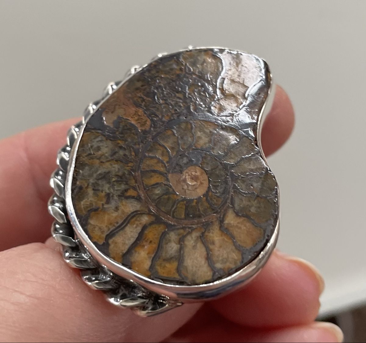 Anelli: Silber-Ring, Ammonit Fossil, Unikat – Nuovo e nell'imballaggio originale da Ebikon venduto da elischka