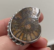 Silber-Ring, Ammonit Fossil, Unikat