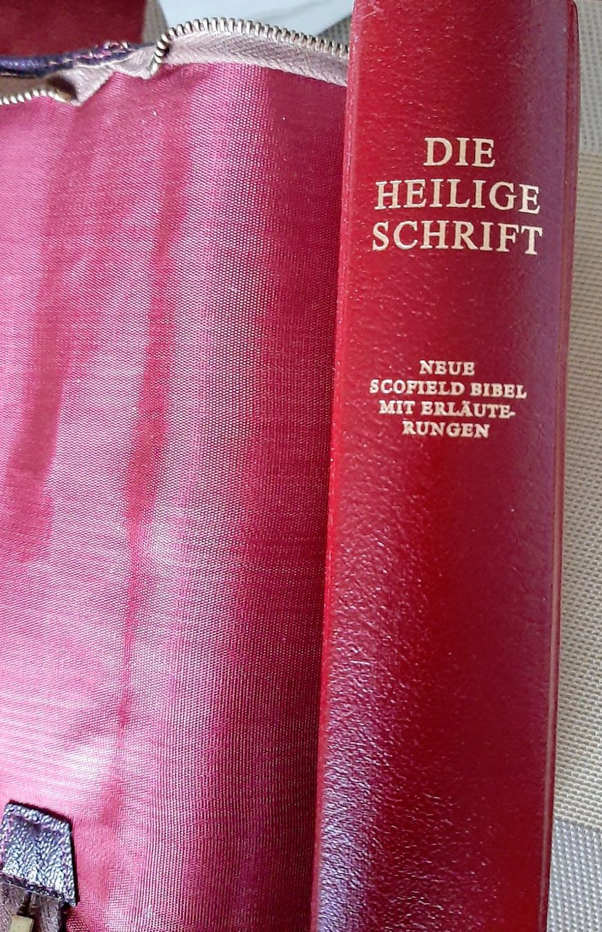 Libri: Bibel Scofield – Usato da Zürich venduto da Zurich 1