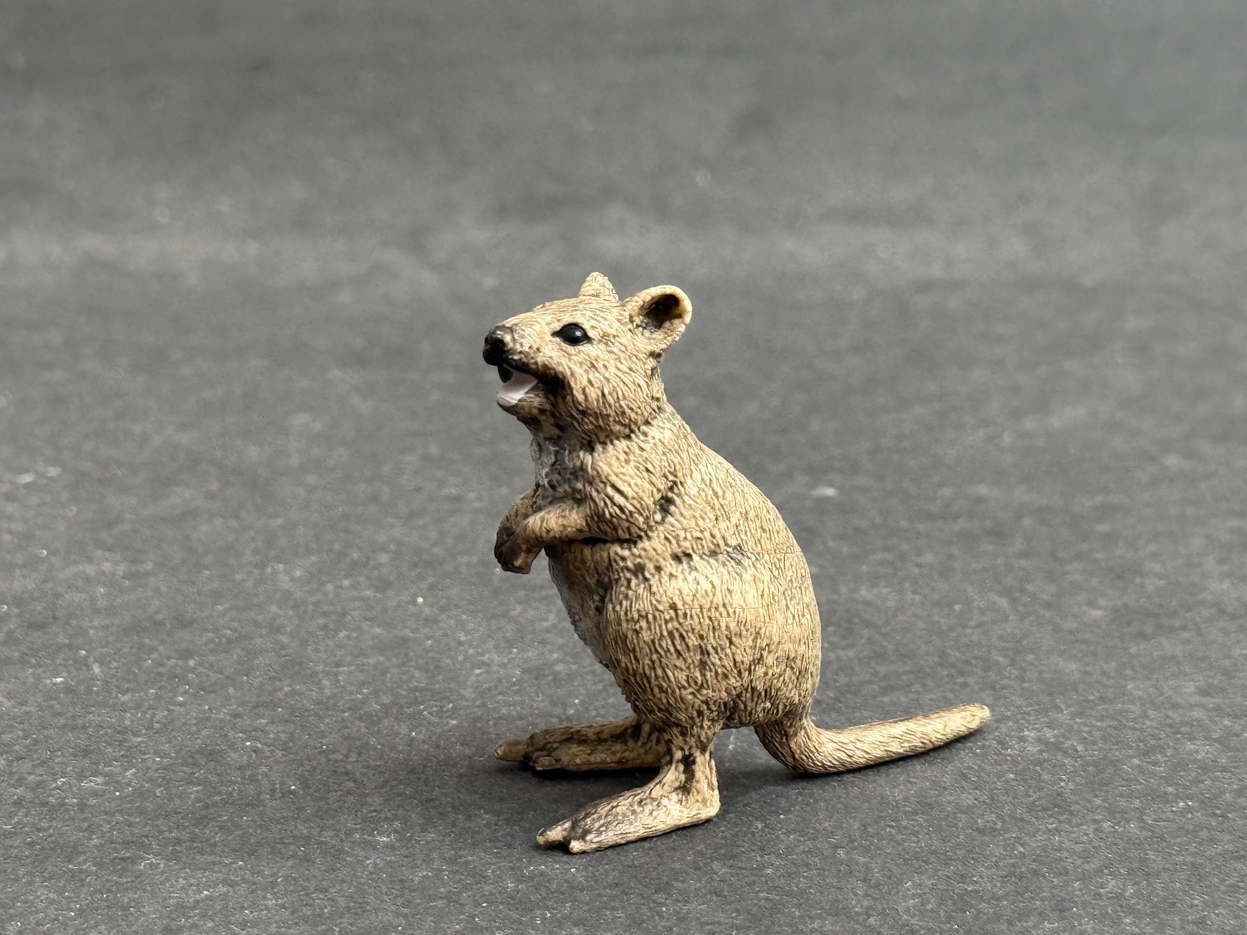 Schleich Figurines: Schleich 14823 Quokka – D'occasion à Ennetbaden par mapa05