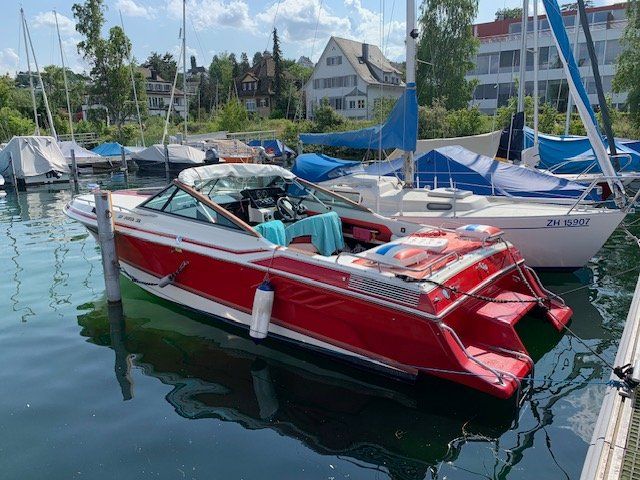 Wellcraft Barche: Wellcraft 23 Nova XL – Usato da Illnau venduto da Stayon64 3