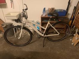 Damenfahrrad Tourenvelo TB-500