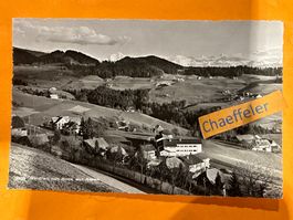 1954  2105 Goldwil mit Blick auf Alpen