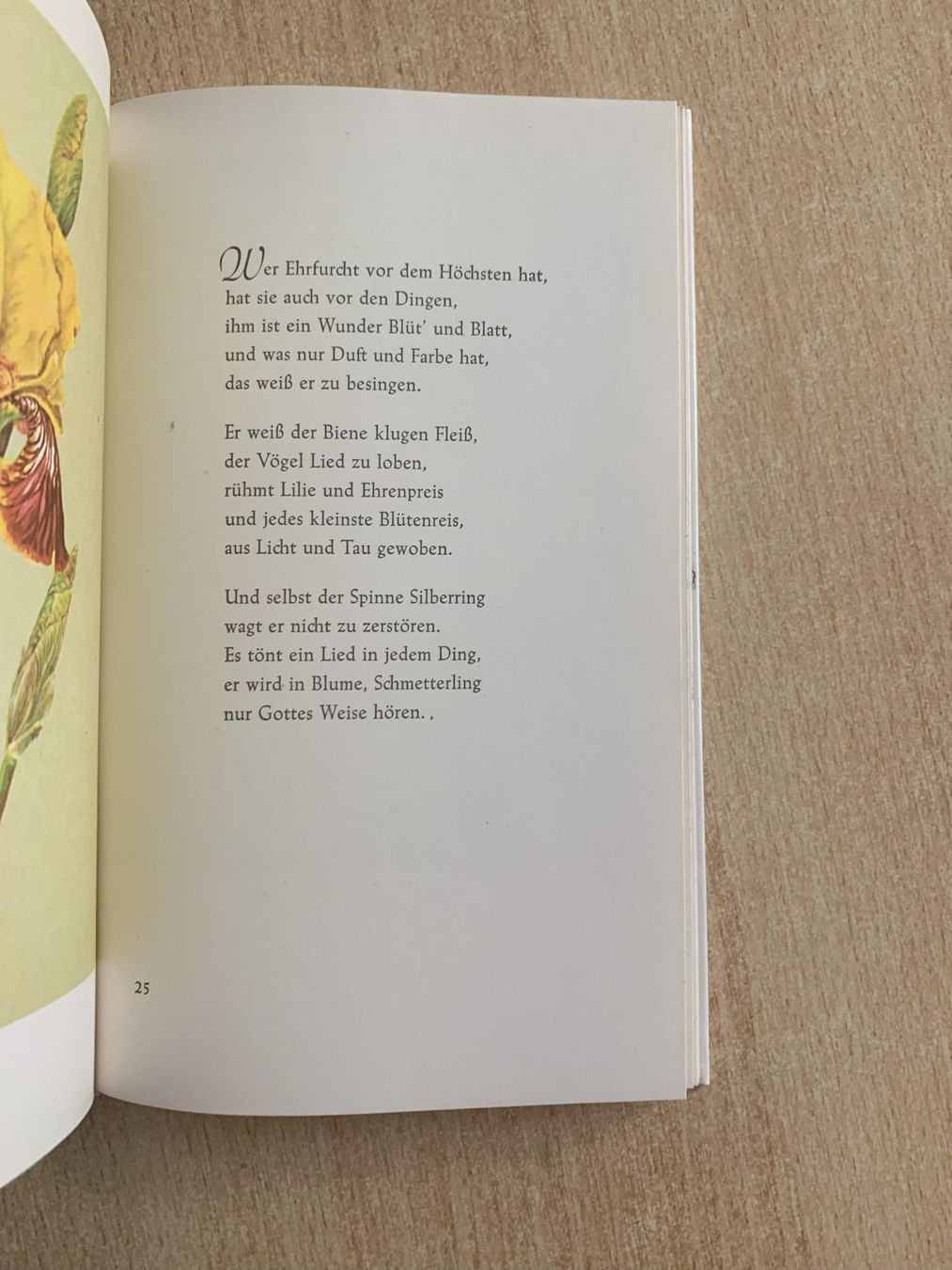 Livres: Leuchtend schöne Welt – D'occasion à Reinach BL par Grolifcb 3
