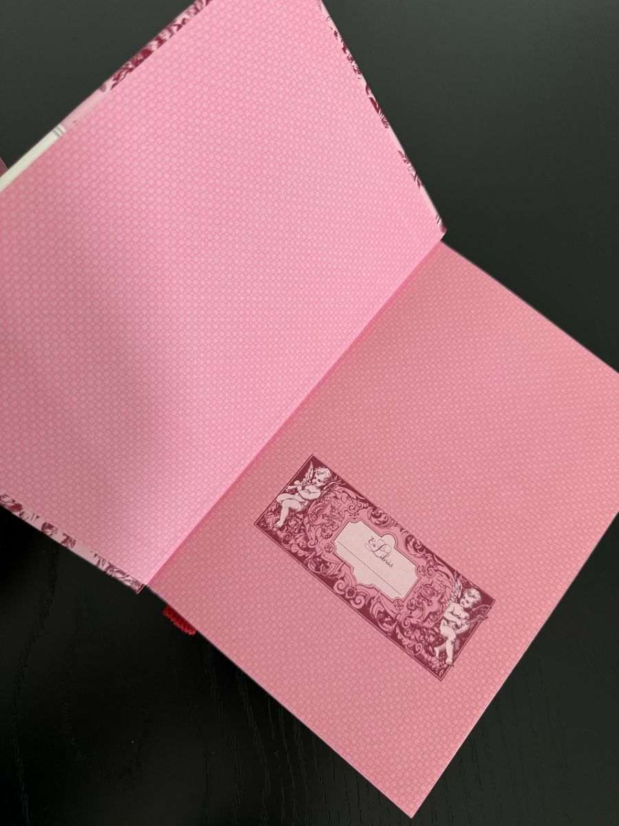 Libri: ENGEL-GESCHENKSET MIT BUCH UND FIGUR – Nuovo (secondo la descrizione) da Rorschacherberg venduto da drdupor 3
